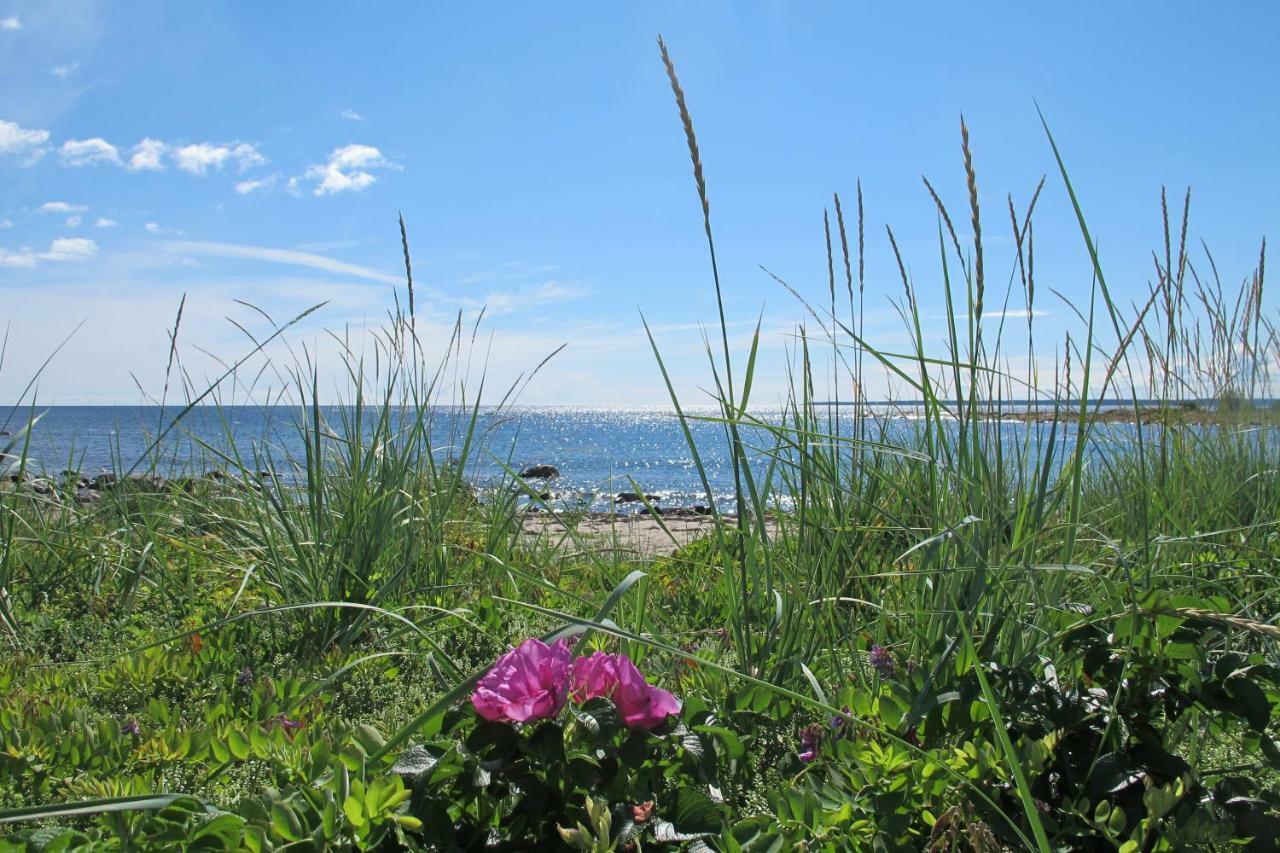 Hoelick Havsresort & Spa Hudiksvall Dış mekan fotoğraf